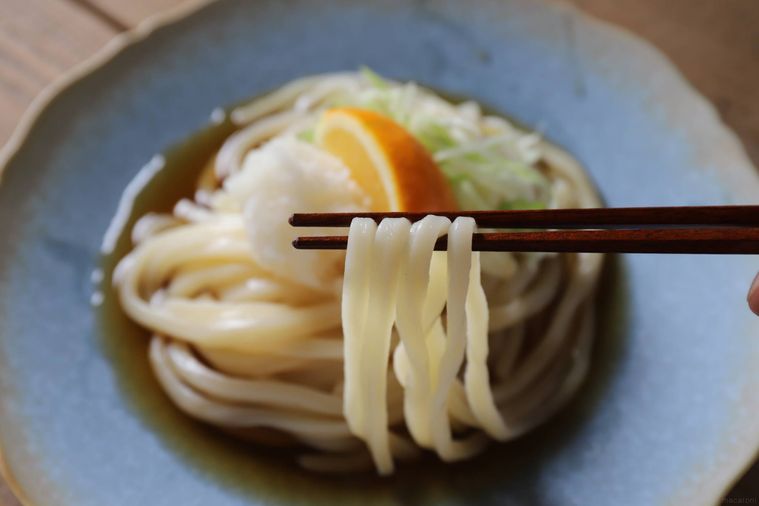 皿に盛り付けたうどんを箸でつかむ様子