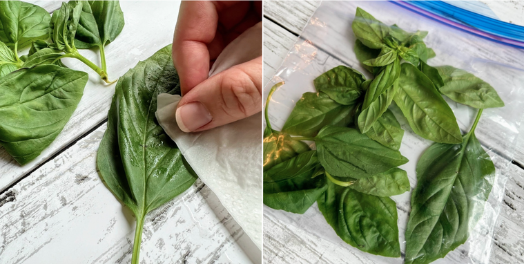 バジルの葉の汚れを取りフリーザーバッグに入れたもの