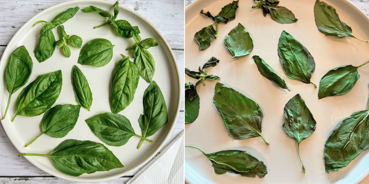 バジルをレンジで加熱した様子