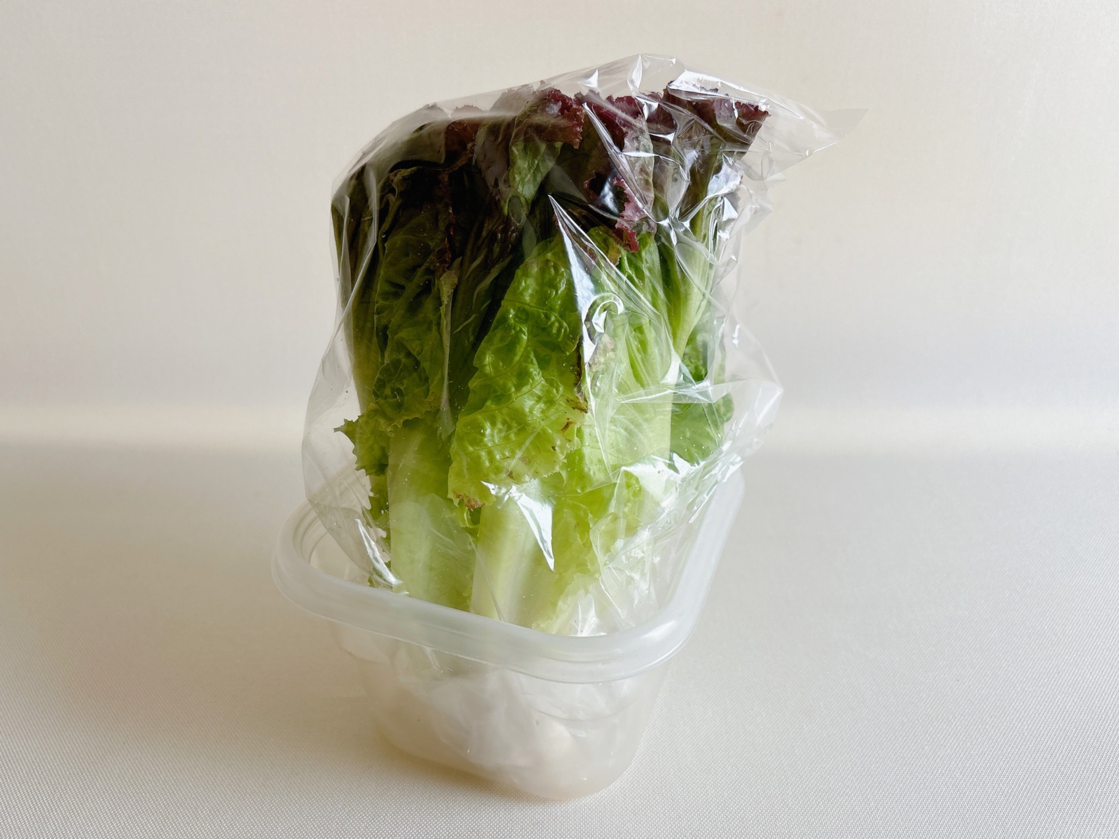 サニーレタスの保存方法は冷凍？爪楊枝!? 長持ちさせる方法まとめ