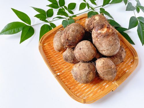 野菜ソムリエが解説「里芋の保存方法」。常温・冷蔵・冷凍すべてチェック