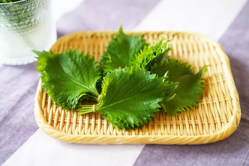 実はあの野菜も!?「香味野菜」の種類とおすすめレシピ - macaroni