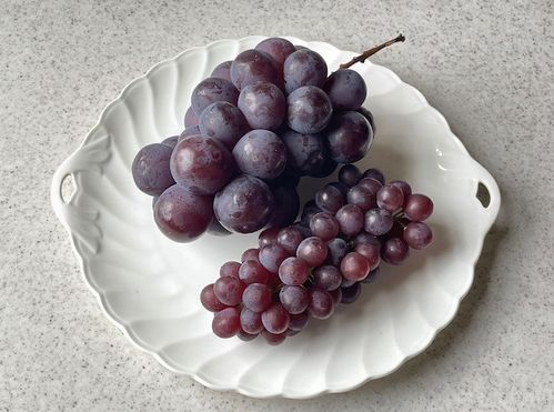 野菜ソムリエが教える「ぶどうの保存方法」。小粒も大粒もおいしく長持ち！