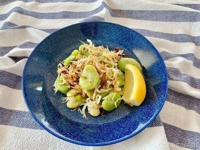 青い皿にのったそら豆としらすのペペロンチーノ風