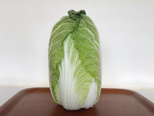 野菜ソムリエが教える「白菜の正しい保存方法」。おいしさ長持ち！