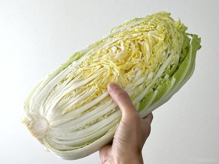 白菜半分を手に持った様子