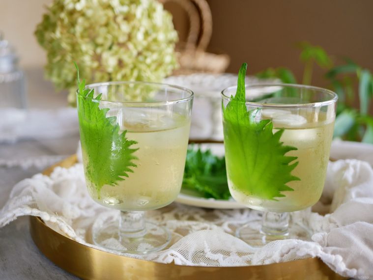 銀色のお盆に盛られた、青じそのさわやかジュース