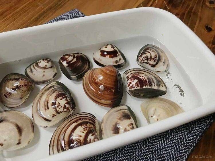 はまぐりを塩抜きしている様子