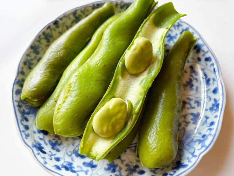 和皿に盛られたさやごとゆでたそら豆