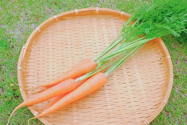 かごにのった葉付きの人参