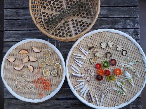 良いことづくめ乾燥野菜の作り方と活用法