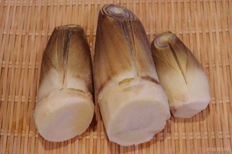ざるに置かれた生たけのこ3つ