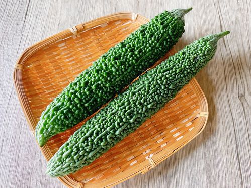 ゴーヤの保存方法を徹底解説冷蔵・冷凍で最長1ヶ月まで日持ちする