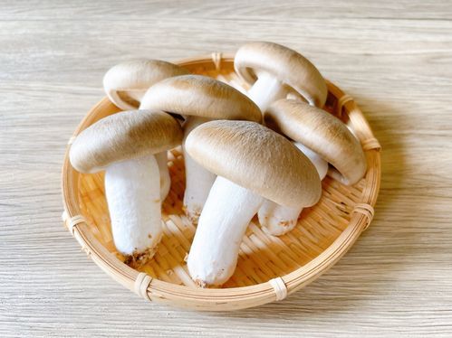 【野菜ソムリエ解説】「本しめじ」の特徴や保存方法。活用レシピも！