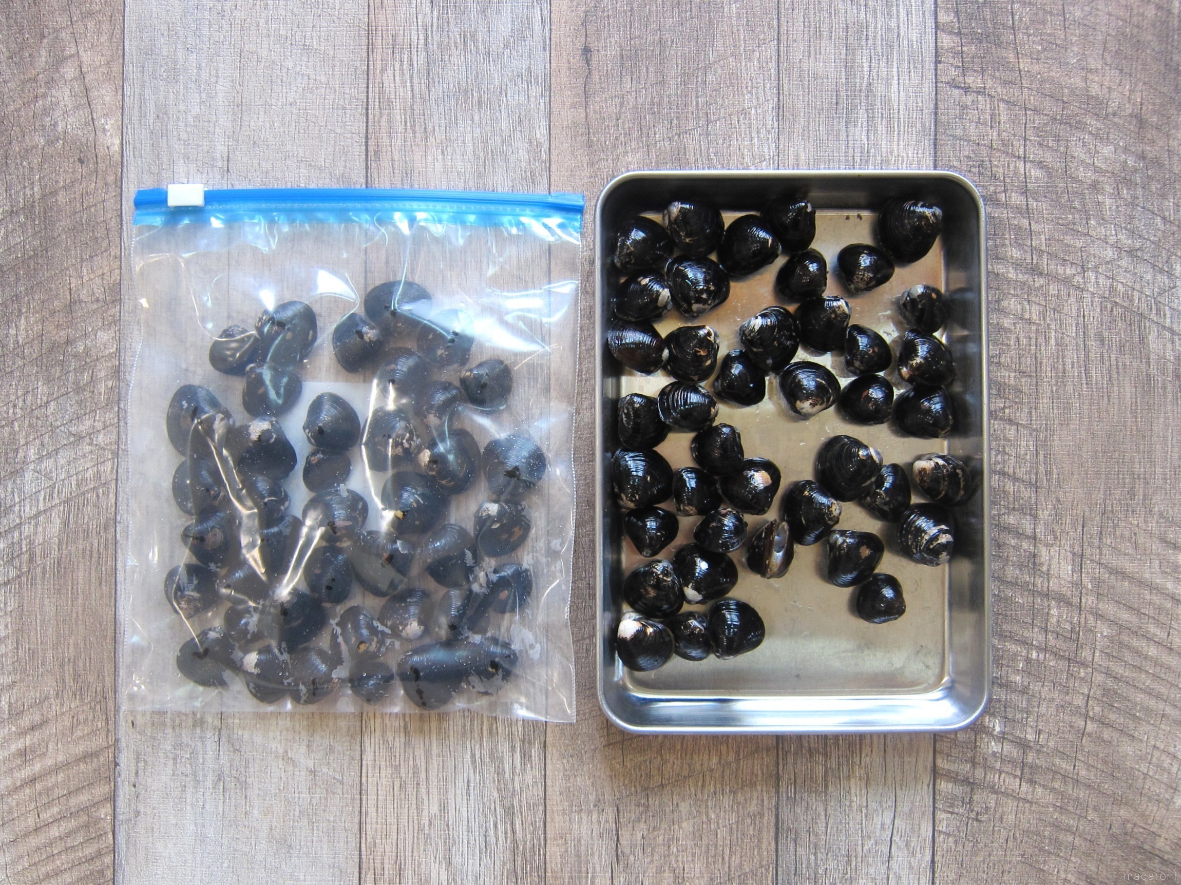 しじみの保存方法は？冷蔵・冷凍を上手に使い分け - macaroni