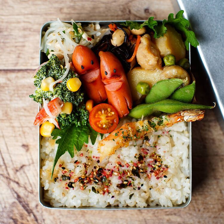 【料理上手のお弁当 vol.2】おがわひろこさんの物語の画像