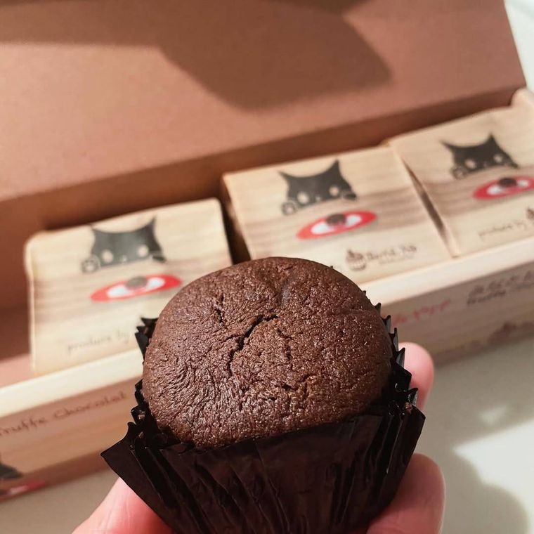 かわいい猫のパッケージに包まれたチョコレートカステラ