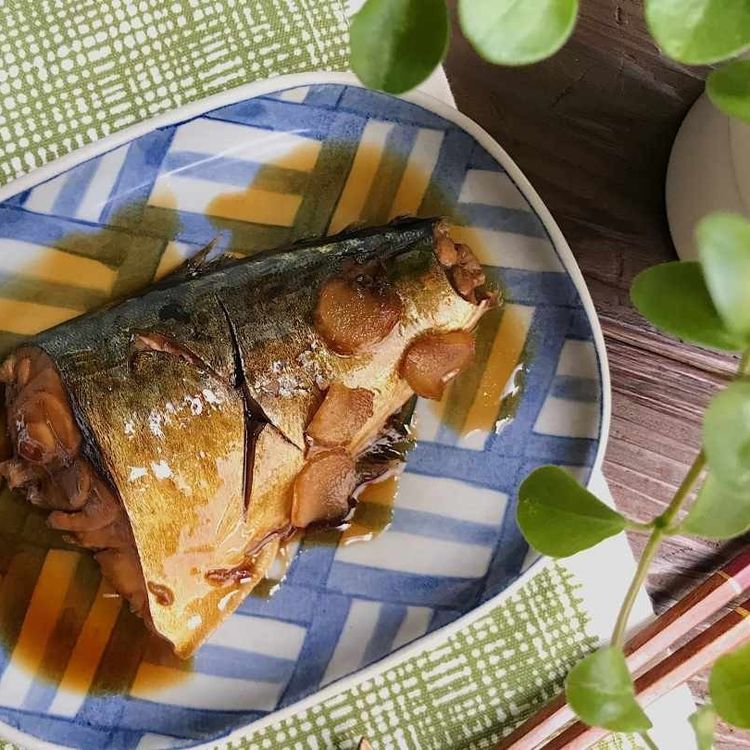 黄金比でマスター 鯖の煮付け の基本の作り方 Macaroni