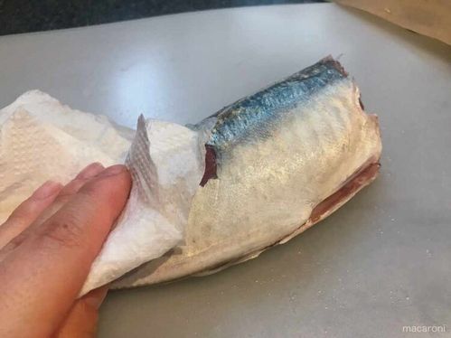 アジ の基本のさばき方 3パターンさえわかればどんな料理もok Macaroni