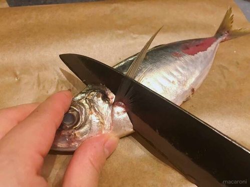 アジ の基本のさばき方 3パターンさえわかればどんな料理もok Macaroni