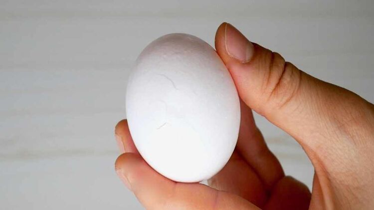 たまごソムリエが教える！究極の「ゆで卵」の作り方の画像