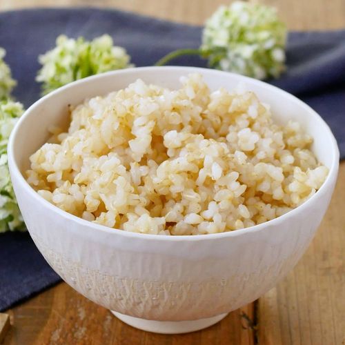 玄米に含まれる栄養とは精白米との違いも管理栄養士が解説