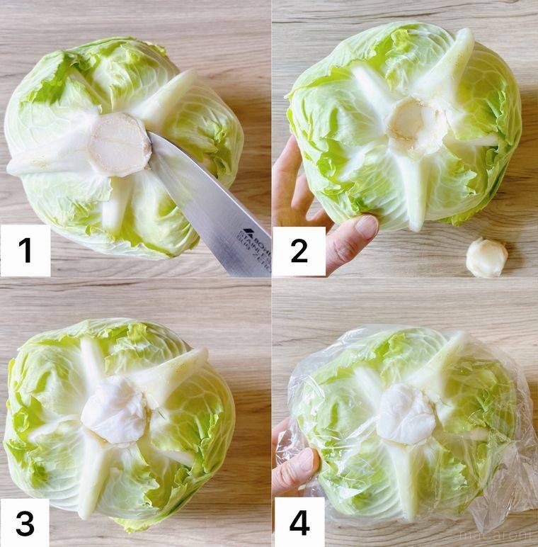 キャベツの芯をくり抜き濡れたキッチンペーパーを詰める様子