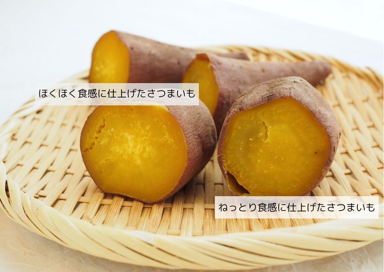 ざるの上においた2種類のさつまいも