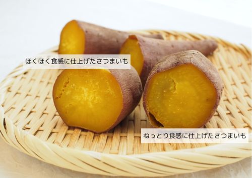 ざるの上においた2種類のさつまいも