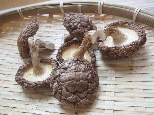 産地直送】 乾燥椎茸 1kg 業務用 しいたけ 岩手県産 東北の味 沢山大量 