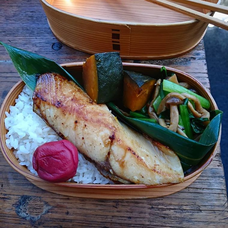 【料理上手のお弁当 vol.11】aomojiさんの物語の画像