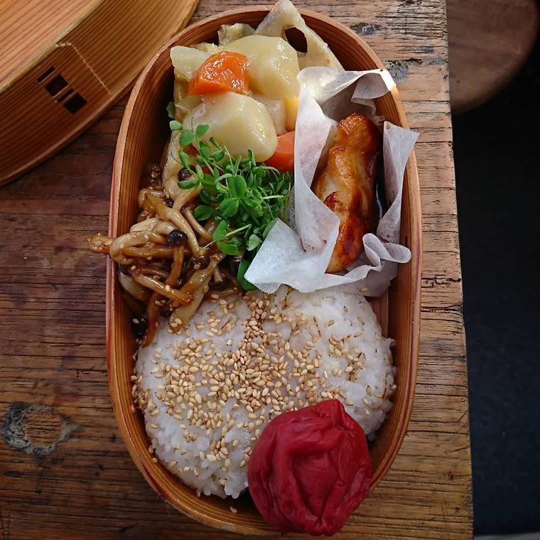 【料理上手のお弁当 vol.11】aomojiさんの物語の画像
