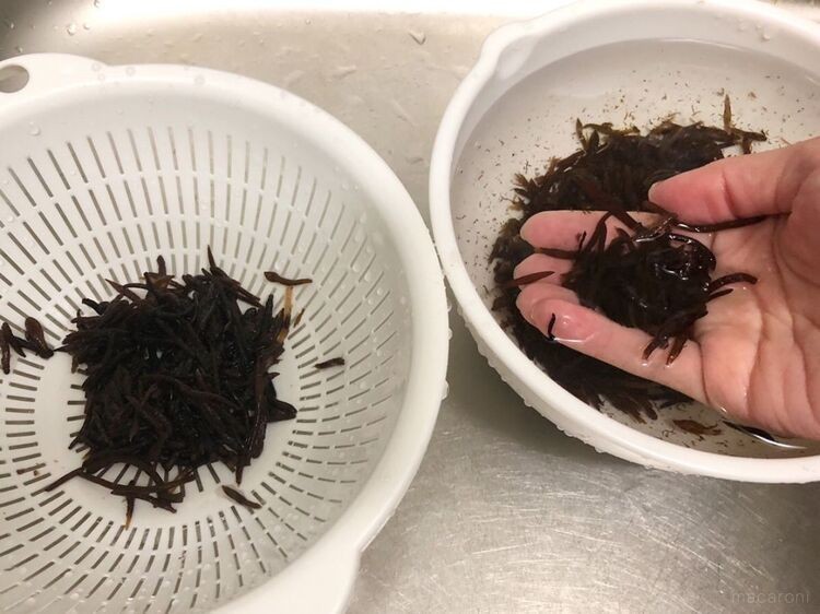 乾燥ひじきの上手な戻し方 基礎からコツまで徹底解説 Macaroni