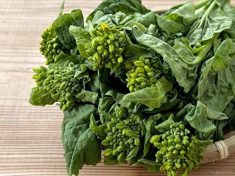 ザルにおかれたなばな