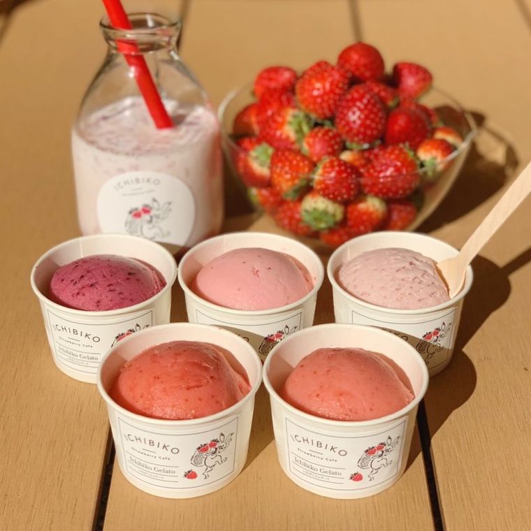 ついに開業!注目のスポット「南町田グランベリーパーク」の全貌をレポートの画像