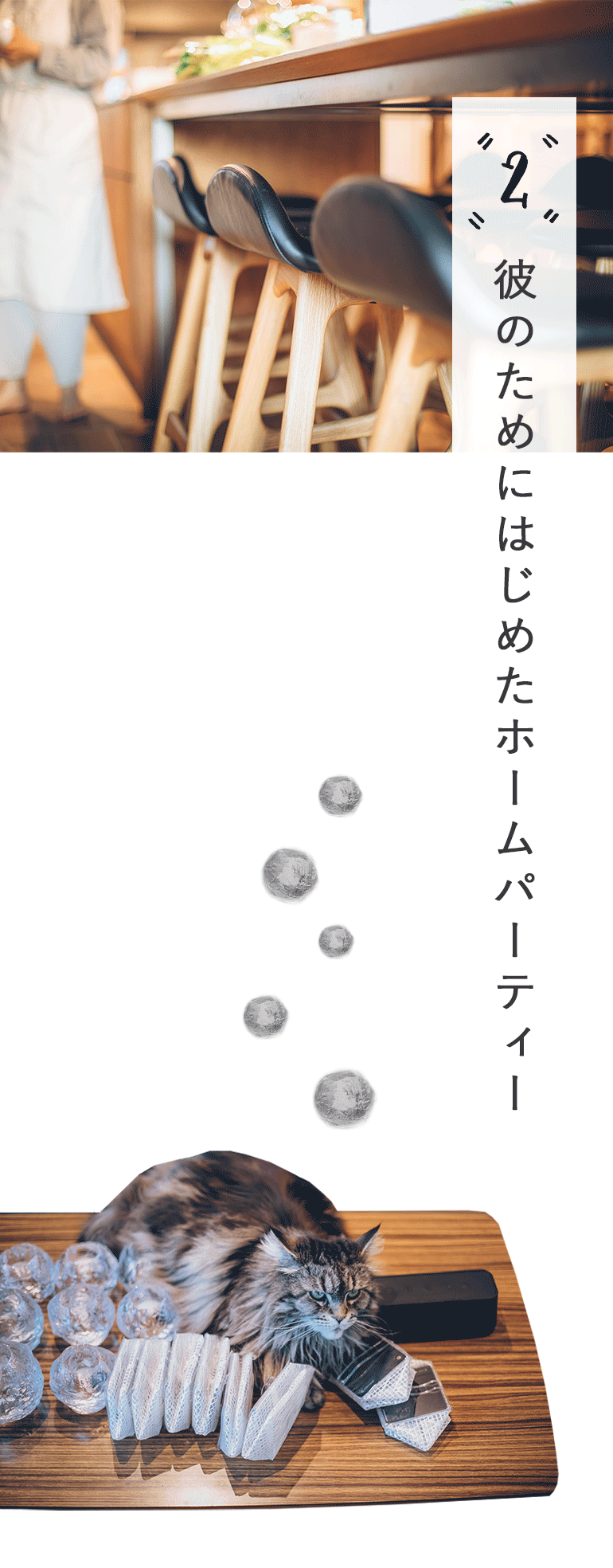 マカロニメイトインタビューてとてとが織り成すおもてなしの魔法。