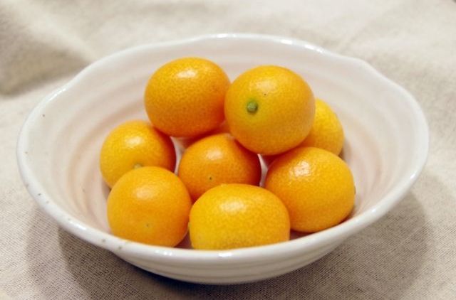 栄養がたっぷり天然のビタミン剤 キンカンの栄養素と特徴 Macaroni