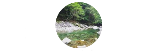 【料理上手のお弁当 vol.15】tanさんの物語の画像