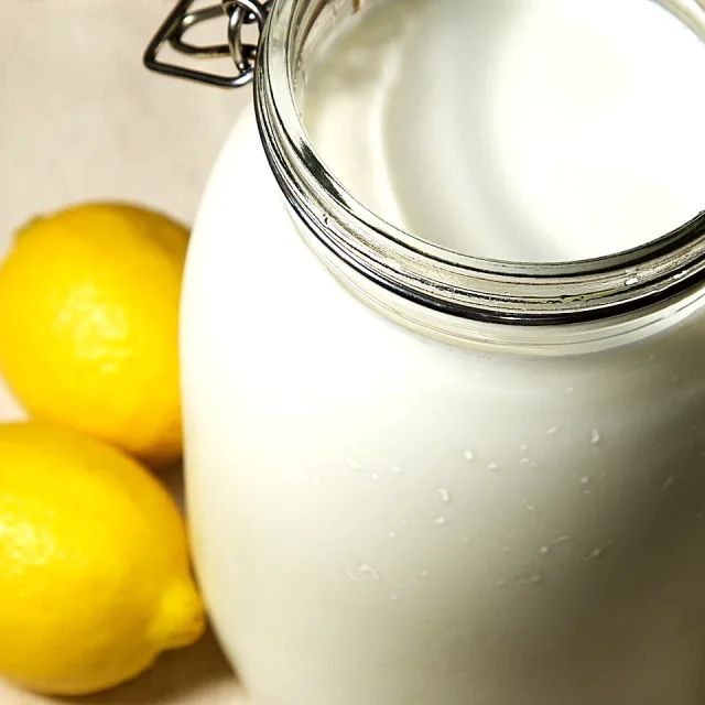 レモンと牛乳で作るフレッシュチーズのレシピ Macaroni