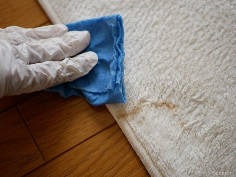 染みのついたカーペットを青いペーパータオルでふいている