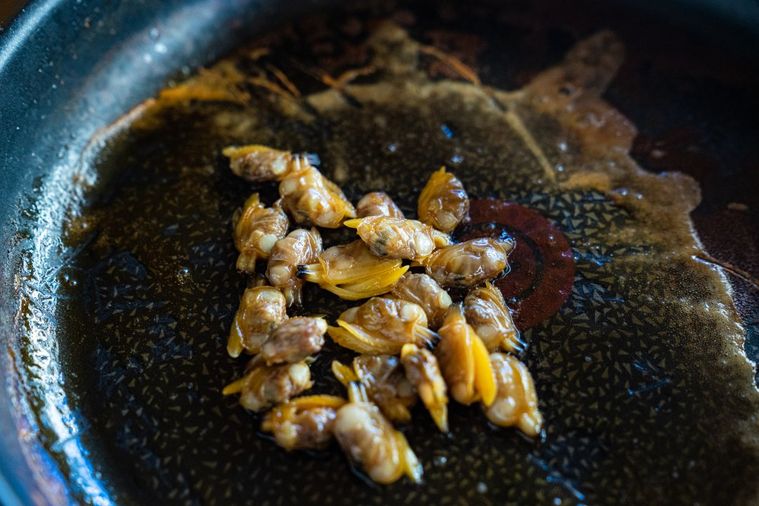 花の季節の華やか弁当♪「おめかしちらし寿司」の画像