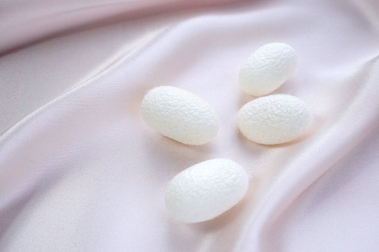 高たんぱくの次世代食品!「シルクフードラボ」が表参道に期間限定で登場の画像