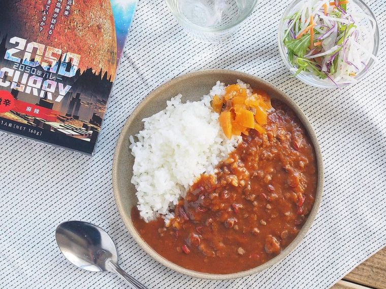 真上から見た2050年カレー 麻辣