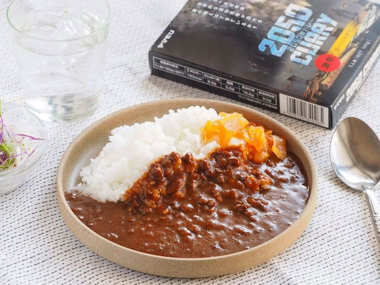 皿に盛り付けられたガーリックチリカレーとパッケージ