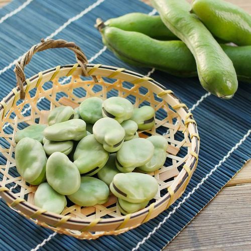 そら豆の豊富な栄養を解説管理栄養士が選ぶおすすめレシピ7選も