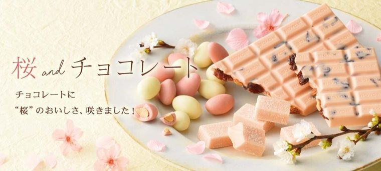 人気の生チョコに “桜味” が登場!ロイズの桜スイーツで春を先取り♪の画像