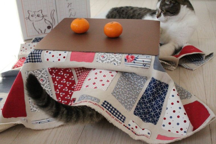 日本初の猫専用こたつ付きみかん。「猫と、こたつと、思い出みかん」の2020年分の予約スタートの画像