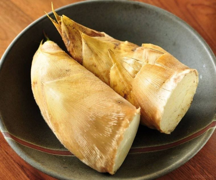 黒色の丸皿に盛られたたけのこ2本