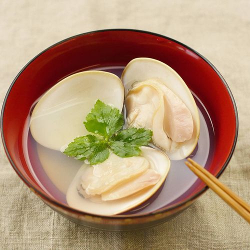 ハマグリの旬はいつ縁起のいい高級貝の産地などを徹底解説