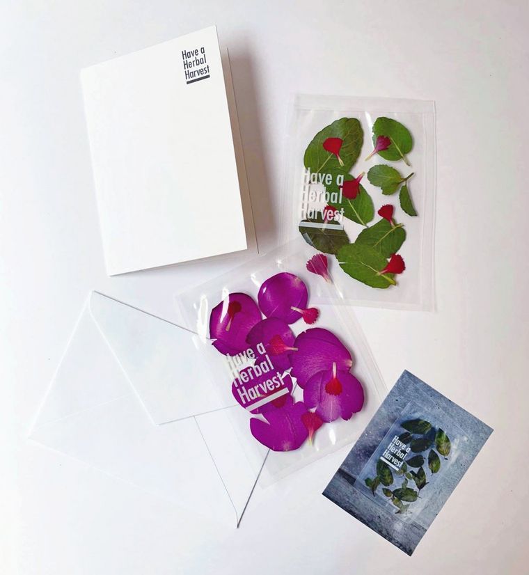 飲んで、飾るハーブティー。「Have a Herbal Harvest」をおうち時間のおともにの画像